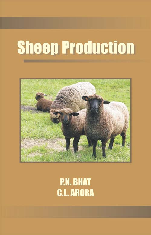 Sheep Production